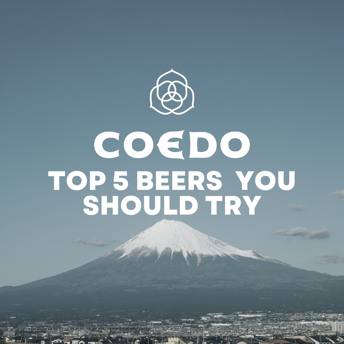 5 Coedo Craft Beers That You Need To Try
