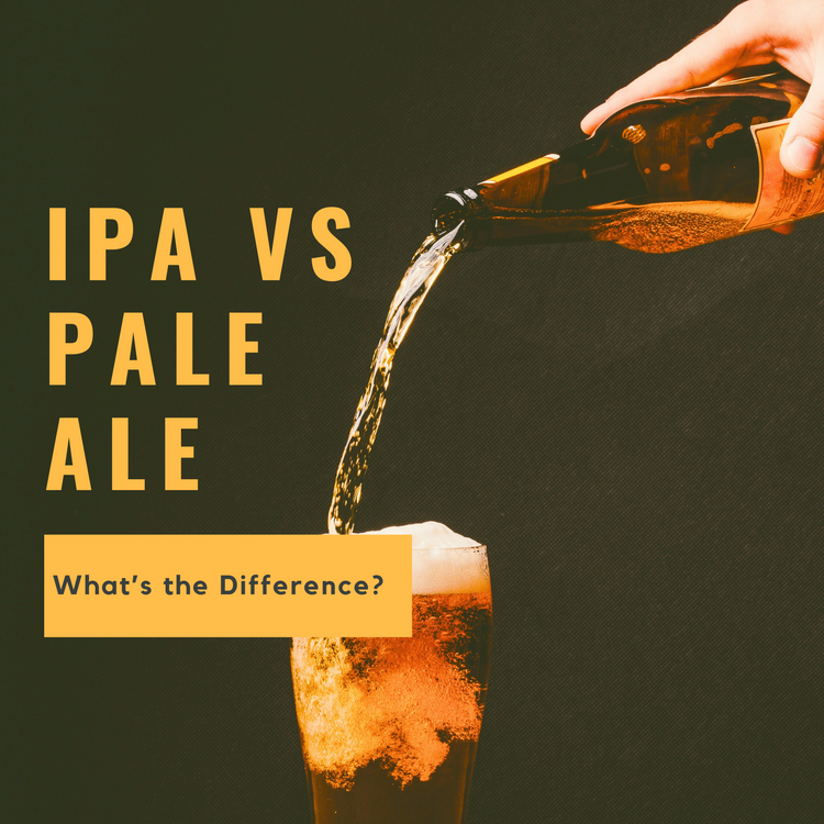 Craft Beer Blog IPA vs Pale Ale What is the Difference? Taps Beer Bar